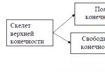 Cheat sheet: Термини по биология