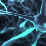 Jak wzmocnić układ nerwowy, przywrócić psychikę i uspokoić nerwy: witaminy i techniki Jak uspokoić nerwy i przywrócić
