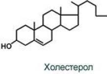 Синтез липидов в клетке биохимия