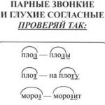 Test z języka rosyjskiego „Spółgłoski w parach”
