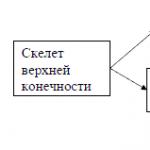 Cheat sheet: Термини по биология