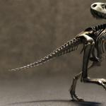 В каком периоде вымерли динозавры