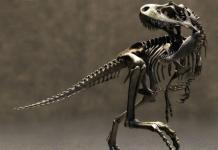 В каком периоде вымерли динозавры